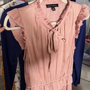 Banana Republic Blush Ruffle Dress